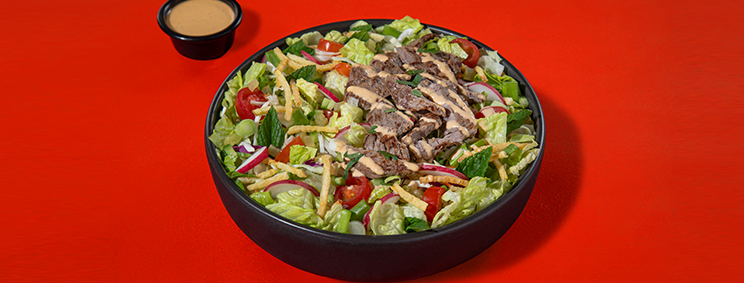 Beef Filet Shawarmix Shaker